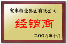磁县宝丰经销商